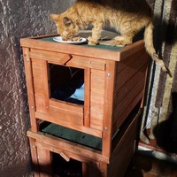 photo de livraison pour L'Ecole du Chat Istreen