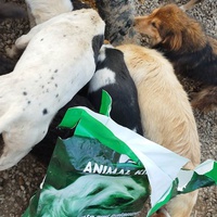 photo de livraison pour Spaske