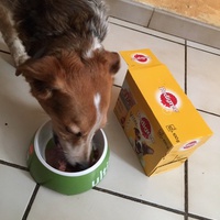 photo de livraison pour Refuge du Poil à la Plume