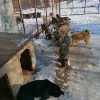 photo de livraison pour Humans foR thEM