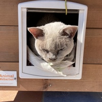 photo de livraison pour Ecole du Chat des Alpilles