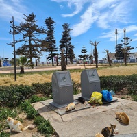photo de livraison pour ADAN Essaouira