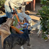 photo de livraison pour Le Coeur sur la Patte