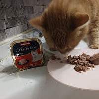 photo de livraison pour A Pas De Chats