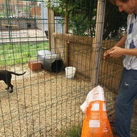 photo de livraison pour Innocente