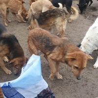 photo de livraison pour Samira Gagula