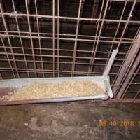 photo de livraison pour Pro Animals Finland ry