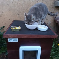 photo de livraison pour SALOME