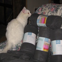photo de livraison pour Jardin des Chats