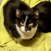 photo de livraison pour L'Arche de Ploum