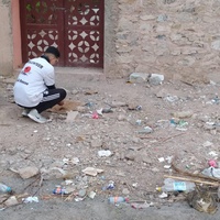 photo de livraison pour L'Arche de Noé
