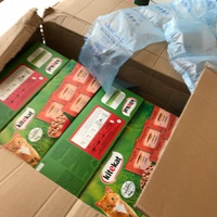 photo de livraison pour Les Pattounes de l'Espoir