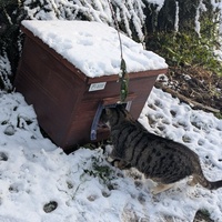 photo de livraison pour Sweety Pets