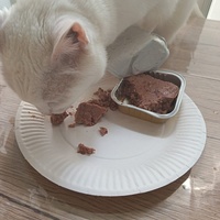 photo de livraison pour Les Chats de la Rue