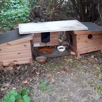 photo de livraison pour Les Chats Libres de la Canterrane