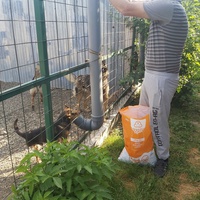 photo de livraison pour Innocente