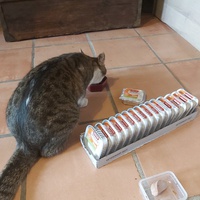 photo de livraison pour Felis Canis Association