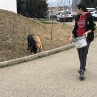 photo de livraison pour Civic Initiative Kane Korzo Skopje