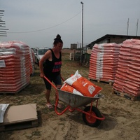 photo de livraison pour Mariuta