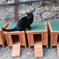 photo de livraison pour U Ghjattinu di Corti