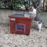 photo de livraison pour Clan du chat libre