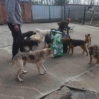 photo de livraison pour ПРИХВАТИЛИШТЕ ДРАЖЕВАЦ