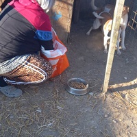 photo de livraison pour Ramona Ciprian Rotunjeanu