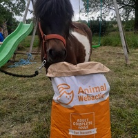 photo de livraison pour Mon Rêve en Calèche