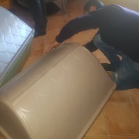 photo de livraison pour SOS Animaux Tunisie