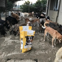 photo de livraison pour Sanctuaire de la Faune de Tanger (SFT)