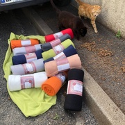 photo de livraison pour Les Chats Libres de la Canterrane