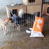photo de livraison pour Sammelstelle für Tiere in Not e.V.