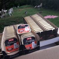 photo de livraison pour Chats Oubliés