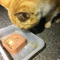 photo de livraison pour Félin Pour L’Hôte