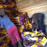 photo de livraison pour Alina & Anda