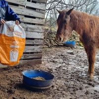 photo de livraison pour La Retraite des Chevaux des Causses