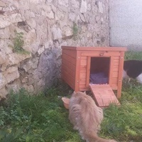 photo de livraison pour Ecole du Chat d’Arbois