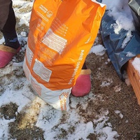 photo de livraison pour SOS Dogs Romania