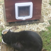 photo de livraison pour Aidons nos Molosses