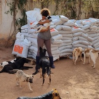 photo de livraison pour Help Adopt Moroccan Animals