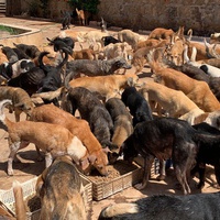 photo de livraison pour ADAN