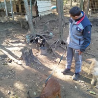 photo de livraison pour P.U.Ž. pomoć ugroženim životinjama Vel Gradište