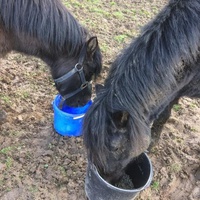 photo de livraison pour Ferme du Launay