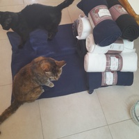 photo de livraison pour Les Amis de Michouette