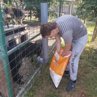 photo de livraison pour Innocente
