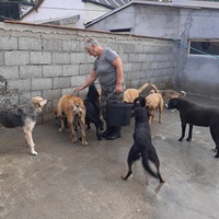 photo de livraison pour ПРИХВАТИЛИШТЕ ДРАЖЕВАЦ