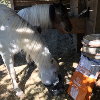 photo de livraison pour Equi-Vivre