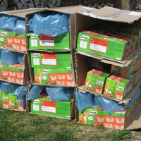 photo de livraison pour Jardin des Chats