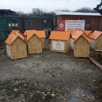 photo de livraison pour Refuge pour chiens de Baia Mare