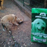 photo de livraison pour Ivana Nikolić